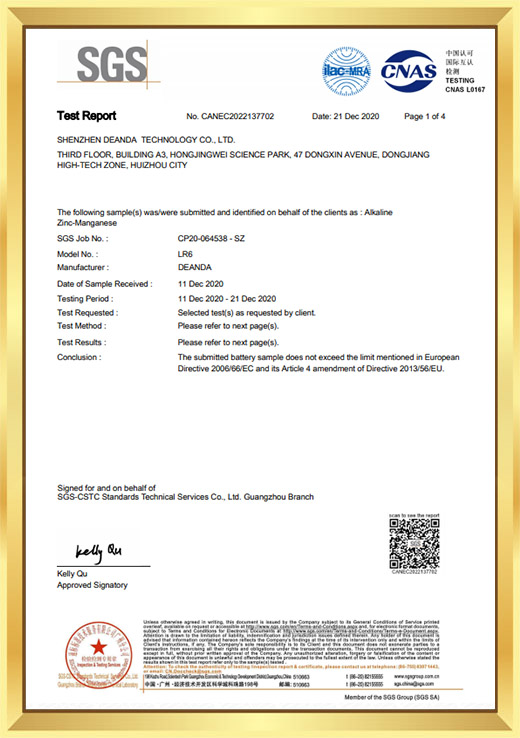 English version of SGS test report certificate