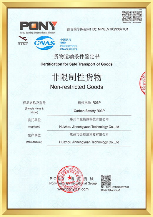 Pony cargo transportation condition appraisal report non restricted cargo air transportation Report